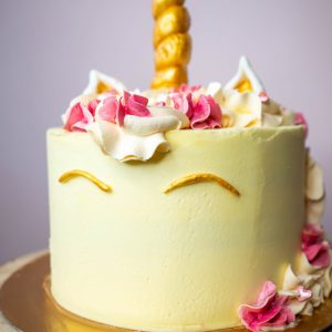 Unicorncake (choose our color)